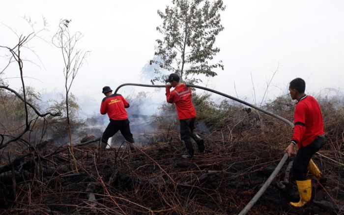 Tim Pemadam Kebakaran Berjibaku Padamkan Api di Inhil