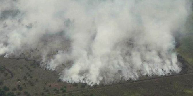 80 Hektar Lahan di Inhu Terbakar